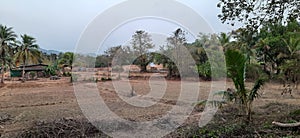 A typical village scene in Konkan Maharashtra