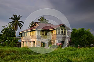 Typical village wooden house in Southeast Asia with long green grass and palm trees around