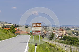 Typical vineyard near Barolo, Barolo wine region, province of Cuneo, region of Piedmont, Italy