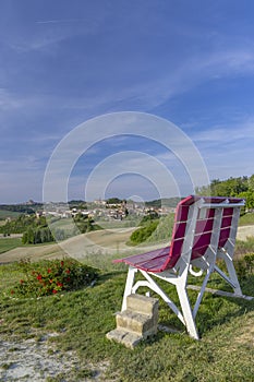 Typical vineyard near Castello di Razzano and Alfiano Natta, Barolo wine region, province of Cuneo, region of Piedmont, Italy