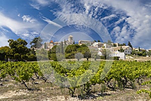 Typical vineyard near Vinsobres, Cotes du Rhone, France