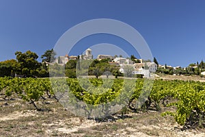 Typical vineyard near Vinsobres, Cotes du Rhone, France