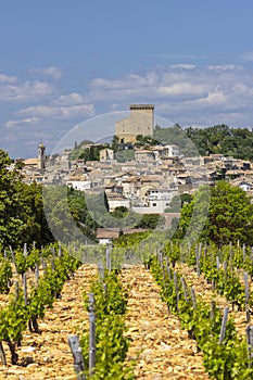 Typical vineyard with stones near Chateauneuf-du-Pape, Cotes du Rhone, France