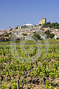 Typical vineyard with stones near Chateauneuf-du-Pape, Cotes du Rhone, France