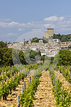 Typical vineyard with stones near Chateauneuf-du-Pape, Cotes du Rhone, France