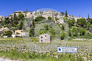 Typical vineyard with Wine road (Route Touristique des Cotes du Rhone) near Faucon, Cotes du Rhone, France