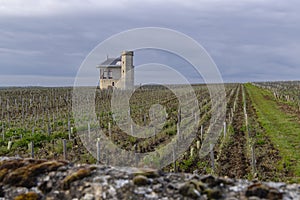 Typical vineyards near Clos de Vougeot, Cote de Nuits, Burgundy, France