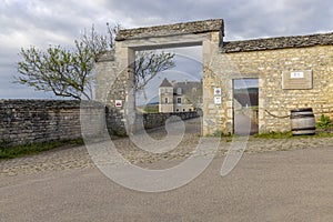 Typical vineyards near Clos de Vougeot, Cote de Nuits, Burgundy, France