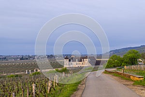 Typical vineyards near Clos de Vougeot, Cote de Nuits, Burgundy, France