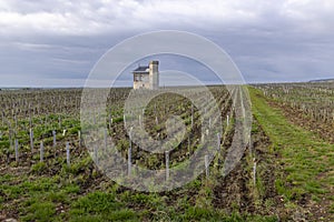 Typical vineyards near Clos de Vougeot, Cote de Nuits, Burgundy, France