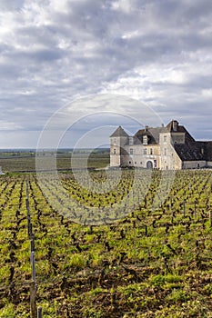 Typical vineyards near Clos de Vougeot, Cote de Nuits, Burgundy, France