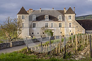 Typical vineyards near Clos de Vougeot, Cote de Nuits, Burgundy, France