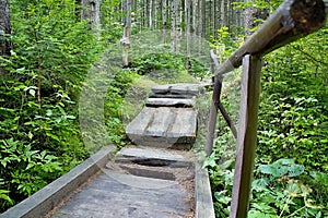 Typická prechádzka v lesnom skanzene vo Vydrove.
