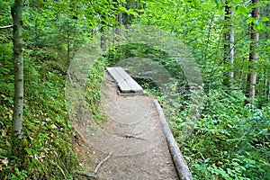 Typická procházka v lesním skanzenu ve Vydrově.