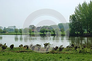 Typical wet dutch landscape