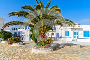 Typical white houses on square with palm tree in Mykonos town on island of Mykonos, Cyclades, Greece