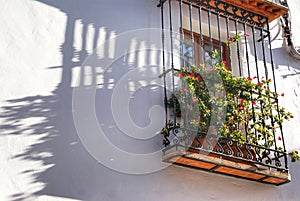 Typical window in Andalusia photo