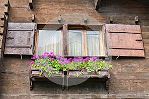 Typical window with flowers of a wooden chalet on the Alps