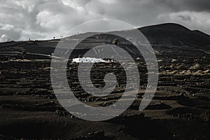 Typical Wineyard in La Geria, Lanzarote, Spain