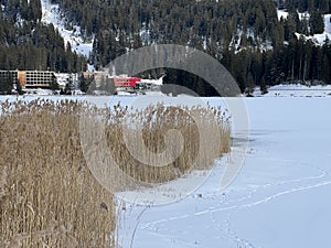 A typical winter idyll on the frozen and snow-covered alpine lake Heidsee (Igl Lai) in the winter resort Lenzerheide