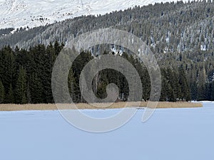 A typical winter idyll on the frozen and snow-covered alpine lake Heidsee (Igl Lai) in the winter resort Lenzerheide