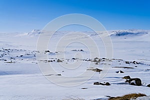 Typical winter landscape on a plateau in Hardangervidda National Park, Norway