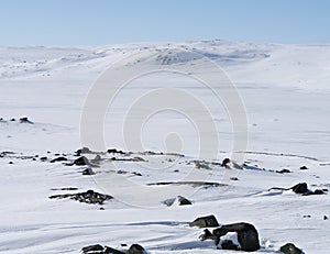 Typical winter landscape on a plateau in Hardangervidda National Park, Norway