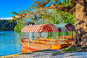 Typical wooden boats on the lake,Bled,Slovenia,Europe