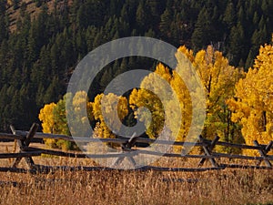 Typical Wooden Fence and Fall Colors