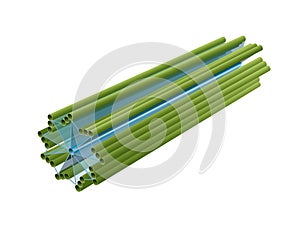 Centrioles in eukaryotic cell. Structure photo