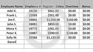 Typing Company Payroll Financial Figures Numbers For The Current Period in Spreadsheet. Type Up Employee Pay and Overtime