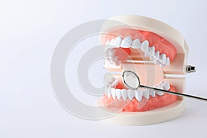 Typodont teeth and dentist mirror on white background