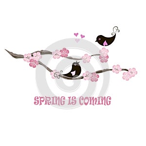 Typography banner Spring is coming, black birds on blooming branch, pink flowers, hearts on white