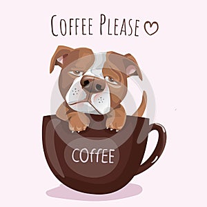 Typography slogan and hand drawn French Pitbull Dog  with coffee for printing, t shirt.