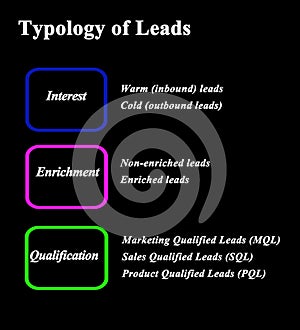 Typology of Leads photo