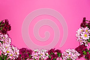 Typy souborÅ¯: VÅ¡e 51 Design concept - top view, spring flowers on pink background