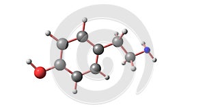 Tyramine molecular structure isolated on white photo