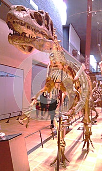 Tyrannosaur on the Hunt