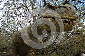 Tyrannosaur Rex