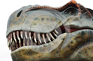 Tyrannosaur Rex head on white