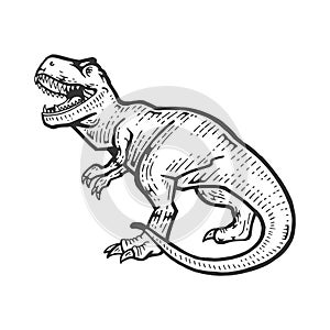 Tyrannosaur sketch engraving vector illustration