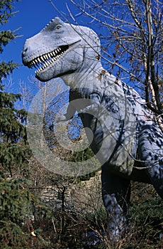 TYRANNOSAURE tyrannosaurus rex