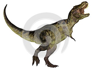 Tyrannosaurus