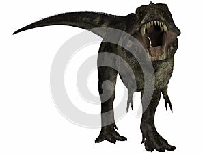 Tyrannosaurus - 3D Dinosaur