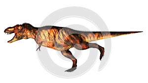 Tyrannosaurus