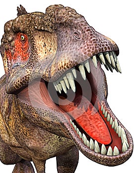 Tyrannosaurus close-up