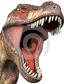 Tyrannosaurus close-up 2