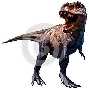 Tyrannosaurus photo