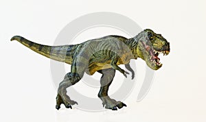 A Tyrannosaurus Hunts on a White Background