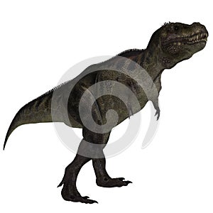 Tyrannosaurus rex photo